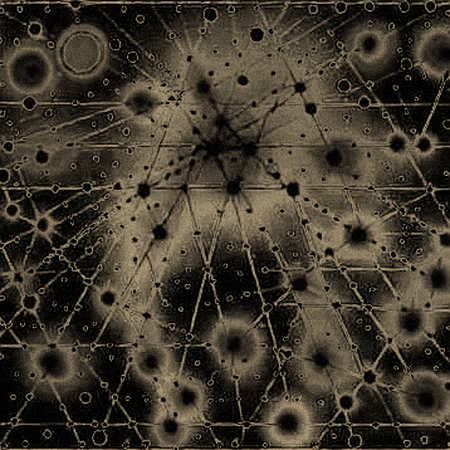 The 1.484 Billion SHIB Overhang: A Forensic Examination of Meme Coin Liquidity and the Mathematics of Fear