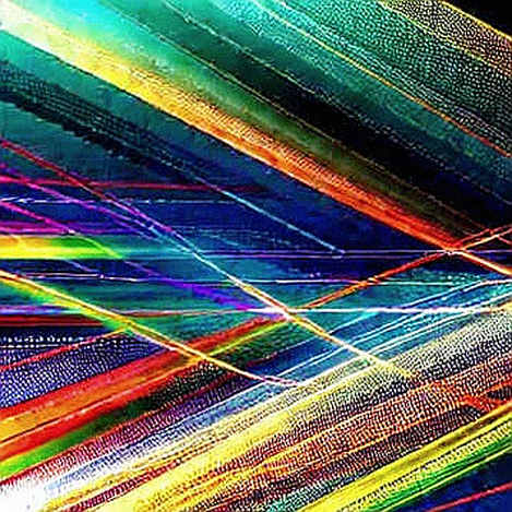 The Silicon Talent Mirage: Why the New Layer 2s Will Stall on a Worker Shortage The Silicon Talent Mirage: Why the New Layer 2s Will Stall on a Worker Shortage