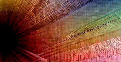 SHIB’s Fake Floor: Why "Holding the Line" Is Just a Narrative