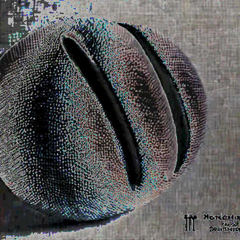 Codex Credits Burned by Context Compression. OpenAI's Band-Aid Is Not the Fix.