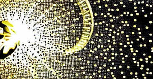 Three Single Points: What Six Chip Stocks Reveal About the Liquidity Structure Crypto Shares With Silicon