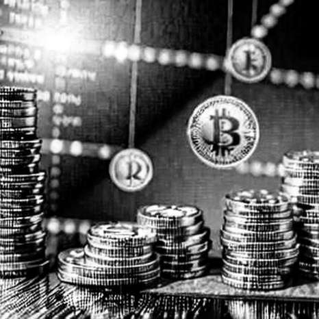 The Radical Honesty of 'N/A': Why an Empty Report Is the Bulwark Against Bull Market Delusion