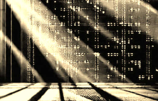 The $11.3M Trade That Exposed Sports Betting's True Face