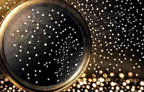 Starknet’s STRK20: A Privacy Framework or Another Infrastructure Mirage?