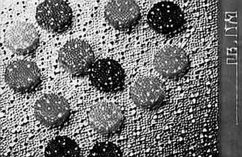 The Viral Epidemic and the Silent Storm: Decoding the Narrative of a World Cup Betting Disruption The Viral Epidemic and the Silent Storm: Decoding the Narrative of a World Cup Betting Disruption