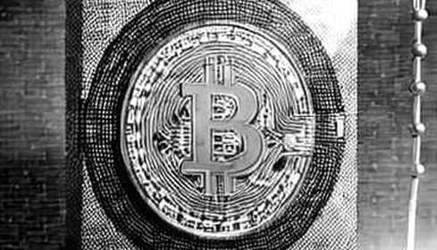 Null Is Not Zero: Reading the Empty Cell in a Bear Market