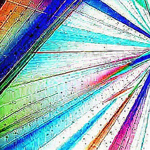 ARK's Circle Buy: A Signal of Institutional Faith or Another Layer of Systemic Risk? ARK's Circle Buy: A Signal of Institutional Faith or Another Layer of Systemic Risk?
