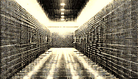 Grok Build Open Source: The Cost of Trust Architecture Failure