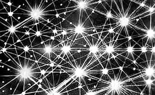 The Quiet Ruin of Empty Data: Reading the Silence Between the Blocks
