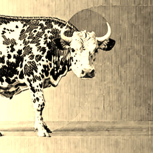 Nansen's Staking Play: Data Platform or Exit Liquidity Trap?