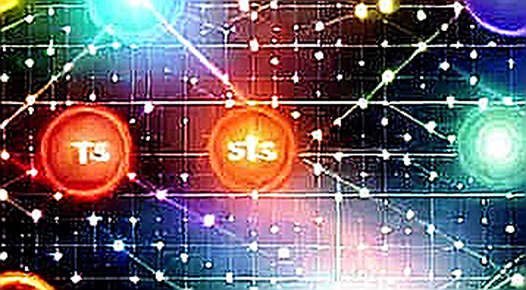 Five Data Points and a Seven-Minute Video: Pricing the Grok Odyssey Signal