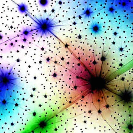 The Void Protocol: When Empty Data Is the Loudest Signal
