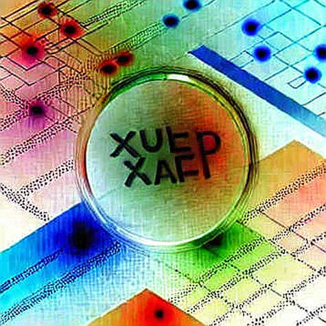The Ledger of Silicon: Reading Nvidia's Tepid Guidance as a Liquidity Signal, Not a Growth Verdict