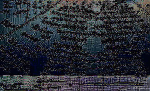 The Geometry of Liquidity: Why Layer2s Are Slicing, Not Scaling