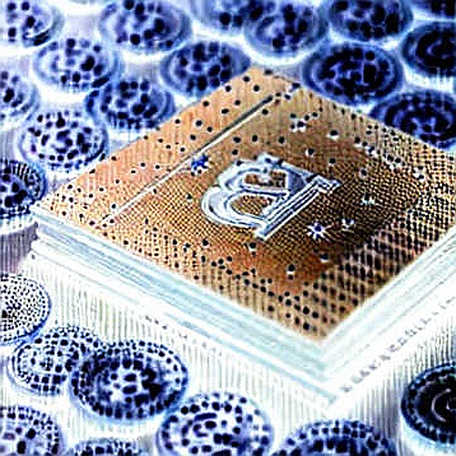 The Macro Euphoria That Forgot the Code: Why the BofA Bullishness Hides a Crypto Structural Fault