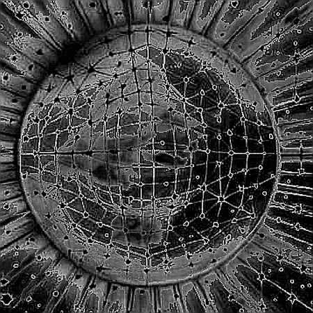 The Milei Meme Coin Meltdown: How a Court Order to Six Exchanges Rewrites the Regulatory Playbook The Milei Meme Coin Meltdown: How a Court Order to Six Exchanges Rewrites the Regulatory Playbook