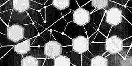 The Michael Olise Fan Token Surge: A Case Study in Event-Driven Speculative Vacuum
